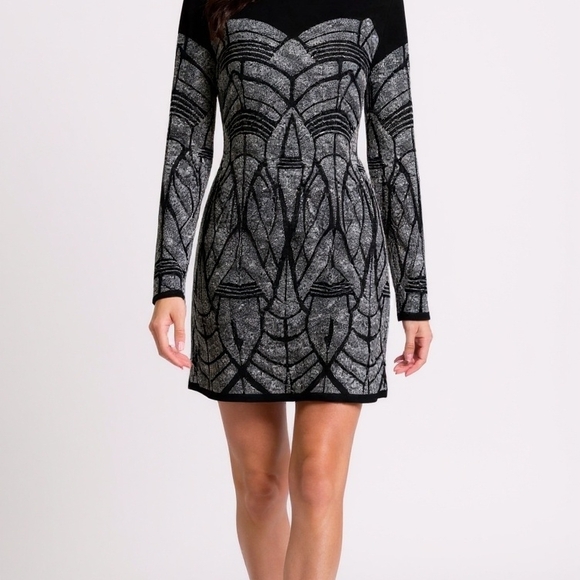 Alberto Fermani Black and Silver Long Sleeve Dress - Picture 9 of 10